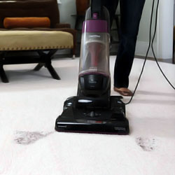 Best Vacuum For Long Hair